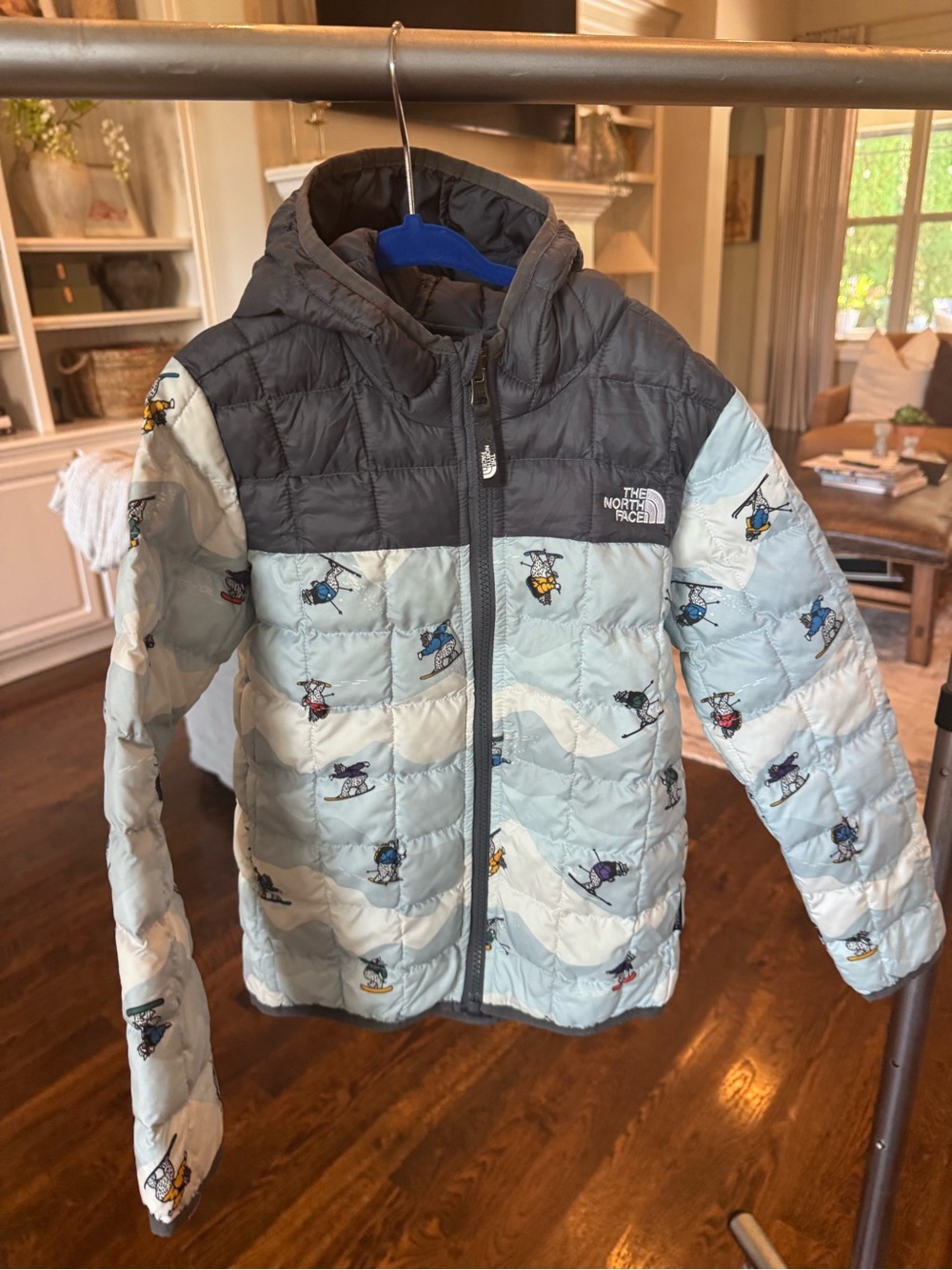 The North Face Light Blue and Gray Kids' Ski Print Puffer Jacket